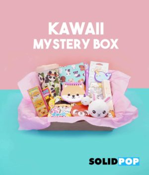 Kawaii Mystery Box Bestsellers asian