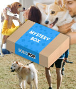 Dog Owner Mystery Box Buy Mystery Boxes box